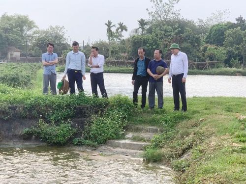 Cán bộ Chi cục Chăn nuôi, Thú y và Thủy sản tỉnh Bắc Ninh kiểm tra ao nuôi cá.