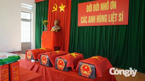 Các hài cốt liệt sĩ được tìm thấy tại xã Nghĩa Giang.