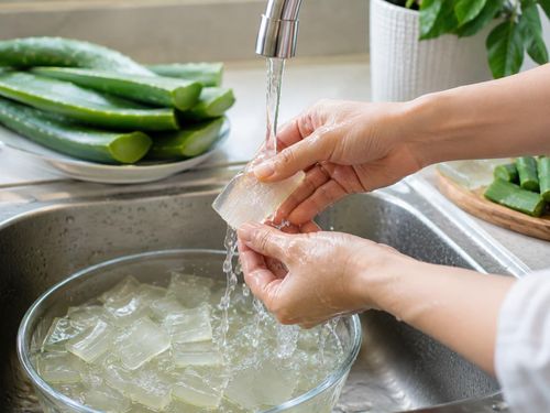 Rửa sạch nha đam dưới vòi nước chảy sau khi đã ngâm muối. Ảnh minh họa: AI