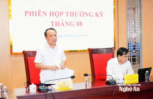 Đồng chí Dương Đình Chỉnh - Ủy viên Ban Thường vụ Tỉnh ủy, Phó Chủ tịch Thường trực HĐND tỉnh phát biểu tại cuộc làm việc. Ảnh: T.L