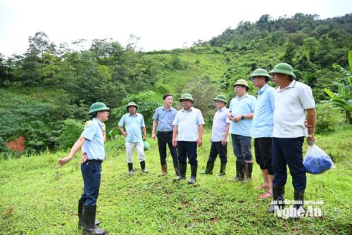 Đoàn công tác UBND tỉnh kiểm tra hiện trường điểm sạt lở bản Tân Thái, xã Tri Lễ. Ảnh: Thành Cường