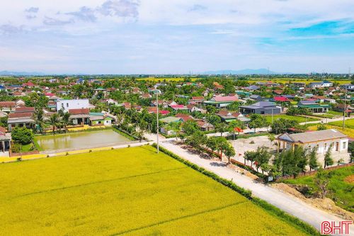 Giữa cánh đồng vàng ươm mùa gặt, lá cờ Tổ quốc tung bay trong gió, tạo nên hình ảnh bình dị mà giàu sức gợi về quê hương Hà Tĩnh trong những ngày tháng Tám lịch sử.