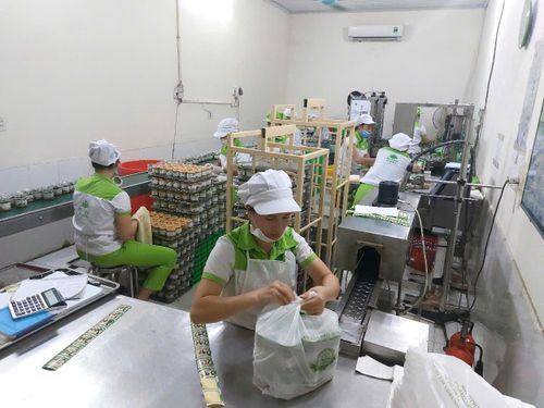 Công nhân thực hiện đóng gói sản phẩm set quà Con Cui trong điều kiện bảo đảm vệ sinh,góp phần duy trì chất lượng và an toàn thực phẩm.