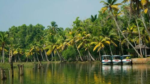 Ảnh: Saikat Sarkar/Flickr