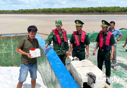 Lấy mẫu số phân Urê trên sà lan LA-08708 giám định theo quy định của pháp luật