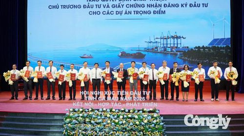 UBND tỉnh Cà Mau trao Quyết định chủ trương đầu tư, Giấy chứng nhận đăng ký đầu tư, Giấy chứng nhận cam kết đầu tư cho các doanh nghiệp
