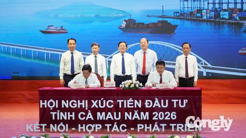 Phó Thủ tướng Hồ Quốc Dũng chứng kiến ký kết biên bản ghi nhớ giữa UBND tỉnh Cà Mau với các nhà đầu tư