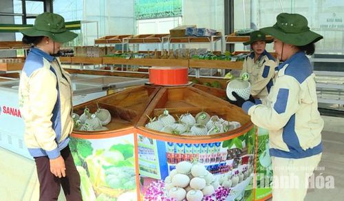 Sản phẩm dưa lưới taki QueenFarm của Công ty TNHH Phong Cách Mới đã hết hạn công nhận nhãn hiệu OCOP năm 2022.