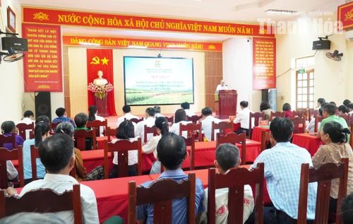 Hội thảo đánh giá kết quả thực hiện mô hình canh tác lúa thân thiện với môi trường vụ Mùa năm 2026.