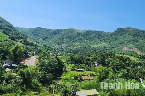 Màu xanh của rừng ở thôn Cao Nguyên, xã Ngọc Lặc.