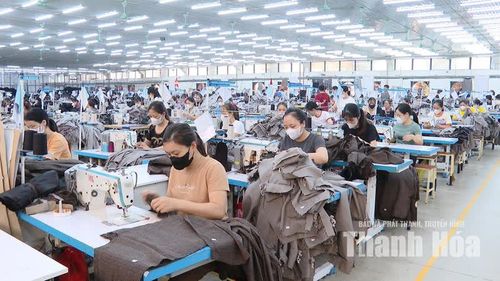 Tự động hóa từng công đoạn góp phần cải thiện điều kiện làm việc, bảo vệ sức khỏe người lao động.