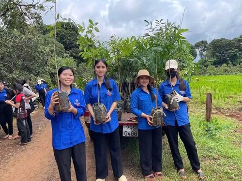 Đoàn viên thanh niên xã Ia O tích cực trồng cây tại làng Cúc. Ảnh: ĐVCC