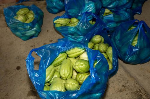 Hiện nay, giá bán lẻ quả su su trên thị trường khoảng 10.000 đồng/kg.
