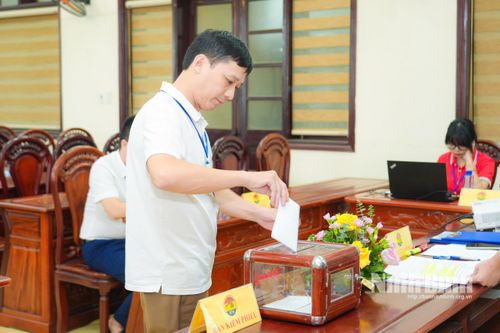 Các đơn vị thực hiện bỏ phiếu đấu giá.