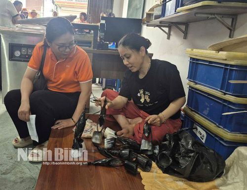 TYM - chi nhánh Nam Định tổ chức tham quan cơ sở sản xuất sừng của khách hàng Nguyễn Minh Chí, thôn Đô Hai, xã Bình Sơn.