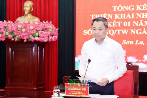 Đồng chí Nguyễn Đình Việt phát biểu chỉ đạo tại hội nghị.