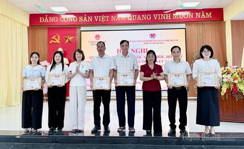 Lãnh đạo Hội Bảo trợ Người khuyết tật và Trẻ mồ côi tỉnh trao giấy khen cho các tập thể và cá nhân.
