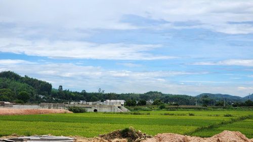 Dự án đường Hoàng Sa - Dốc Sỏi vướng mặt bằng khiến nhà thầu khó khăn trong bố trí thiết bị, máy móc triển khai thi công.