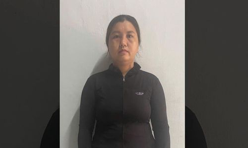 Đối tượng Thái Thị Ngọc Trinh (Ảnh: Cơ quan Công an).