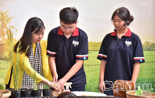 Các em được trải nghiệm trồng lúa tại Bảo tàng Lúa nước Cà Mau.
