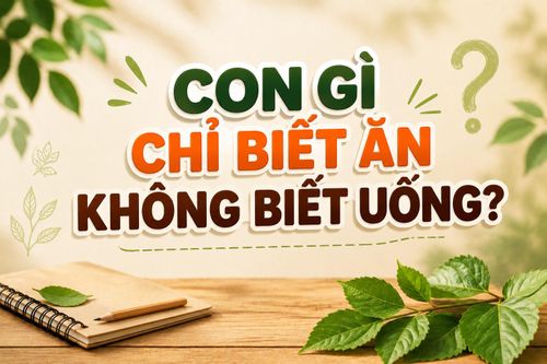Câu đố “Con gì chỉ biết ăn không biết uống?” thử thách khả năng quan sát và liên tưởng của người chơi. (Ảnh: AI)