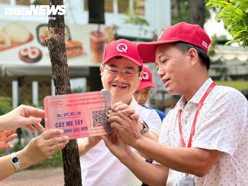 Ông Trần Hữu Dũng, Giám đốc QTSC (ở giữa), cùng các đại biểu gắn bản QR cho cây mới trồng.