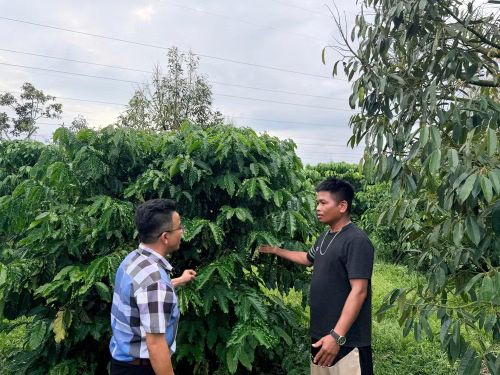 Cán bộ xã La Dạ tư vấn nông dân trồng cà-phê nhằm phát triển kinh tế địa phương. Ảnh: Thanh Hải