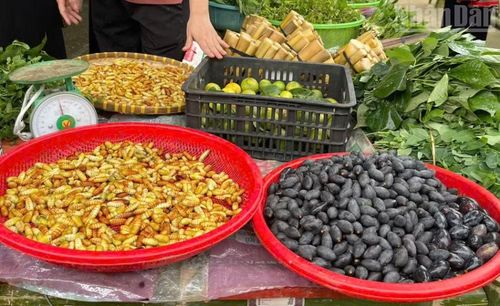 Sản phẩm trám đen, một trong những loại quả được đồng bào dân tộc Thái ở Sơn La sử dụng nhiều trong ẩm thực được bày bán tại chợ phiên Muổi Nọi. (Ảnh: QUỲNH LIÊN)
