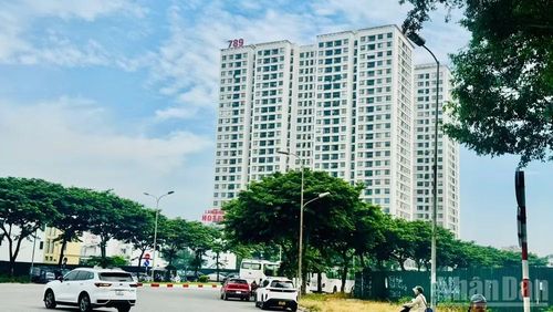 Phân định rõ vai trò Trung ương và địa phương trong lĩnh vực định giá đất và tài chính đất đai. (Ảnh: HNV)