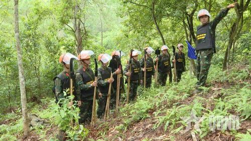 Lực lượng Công binh Bộ CHQS tỉnh Phú Thọ quán triệt nhiệm vụ, triển khai công tác rà phá bom mìn, vật nổ.