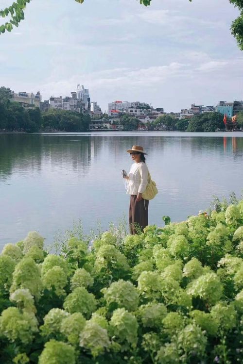 Màu sắc cả dải hoa đang thu hút sự chú ý của người dân, du khách. Nhiều bạn trẻ tình cờ dạo phố đã tranh thủ chụp check-in cùng hoa.