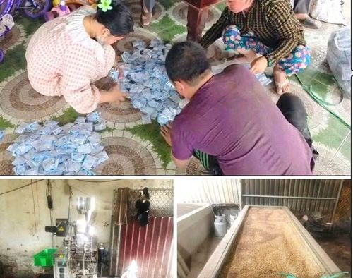 Vợ chồng lương y rởm tự mua nguyên liệu, sản xuất thuốc giả.