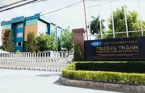 Gỗ Trường Thành xin gia hạn thời gian công bố báo cáo tài chính bán niên năm 2026.