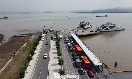 Ghi nhận của phóng viên sáng 29/8, tại bến phà Đồng Bài – Cái Viềng, thuộc đặc khu Cát Hải (TP. Hải Phòng) tình hình giao thông thông thoáng, không còn cảnh tài xế, du khách xếp hàng dài trong nhiều giờ để chờ lên phà ra đảo Cát Bà du lịch.