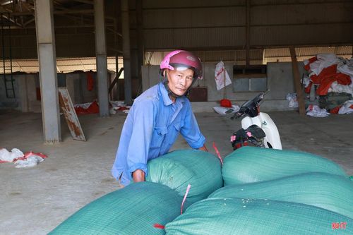 Người dân đưa lúa đến HTX Dịch vụ tổng hợp Giáp Trâm, xã Cẩm Bình để sấy.