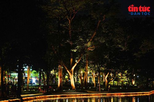 Từ đường dạo ven hồ, đến từng gốc cây đều được chiếu sáng.