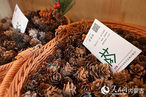 Các vật liệu dùng để làm tranh từ quả thông được trưng bày tại bảo tàng nghệ thuật. Ảnh: People's Daily Online/Liu Yilin