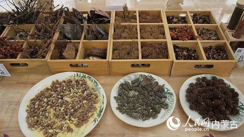 Các vật liệu dùng để làm tranh từ quả thông được trưng bày tại bảo tàng nghệ thuật. Ảnh: People's Daily Online/Liu Yilin