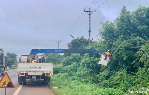 Phát quang hành lang tuyến, bảo đảm an toàn lưới điện.