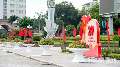 Từ những tuyến phố trung tâm đến các khu dân cư, sắc cờ nối tiếp nhau tạo điểm nhấn trên các tuyến đường.