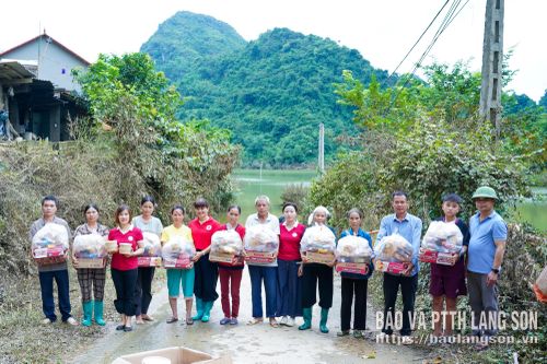 Lãnh đạo Hội Chữ thập đỏ tỉnh cùng thành viên CLB Giọt hồng trao ước mơ trao tặng quà đến người dân xã Tân Đoàn