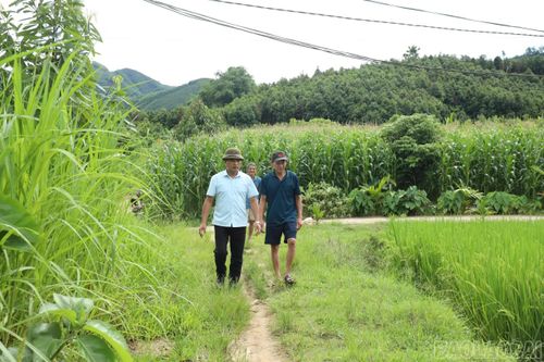 Lãnh đạo Phòng Kinh tế xã Châu Quế cùng người dân xác định ranh giới thu hồi.