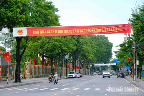 Đường Lê Hồng Phong (phường Hoa Lư) rợp cờ hoa, băng rôn, panô tuyên truyền, khơi dậy niềm tự hào dân tộc.