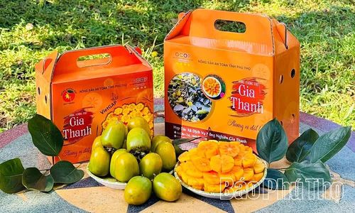 Hồng Gia Thanh được đóng trong bao bì bắt mắt.