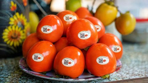 Năm 2020, hồng mọng Tràng Đà được công nhận OCOP 3 sao, đánh dấu bước chuyển từ một loại quả quen thuộc thành sản phẩm nông nghiệp đặc trưng của địa phương.