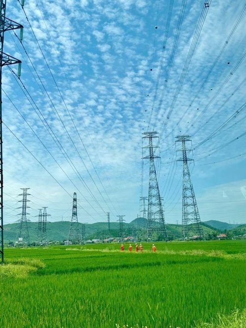 Công việc hàng ngày của các anh lính đường dây