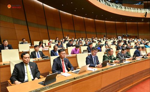 Các đại biểu dự Kỳ họp không thường lệ thứ Nhất, Quốc hội khoá XVI