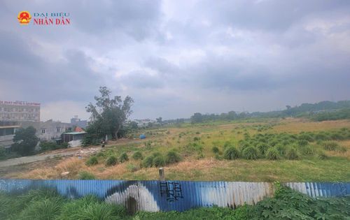 Một khu đất trống trên địa bàn phường Thủ Đức. Ảnh: Quang Phương