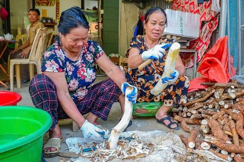 Mỗi ngày bà Hoa thuê hàng chục công nhân chế biến củ mài tươi.