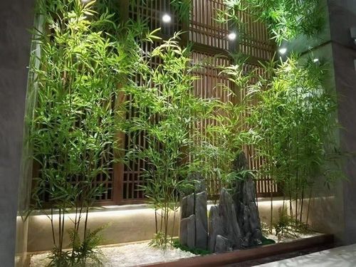 (Ảnh: Greenmore)